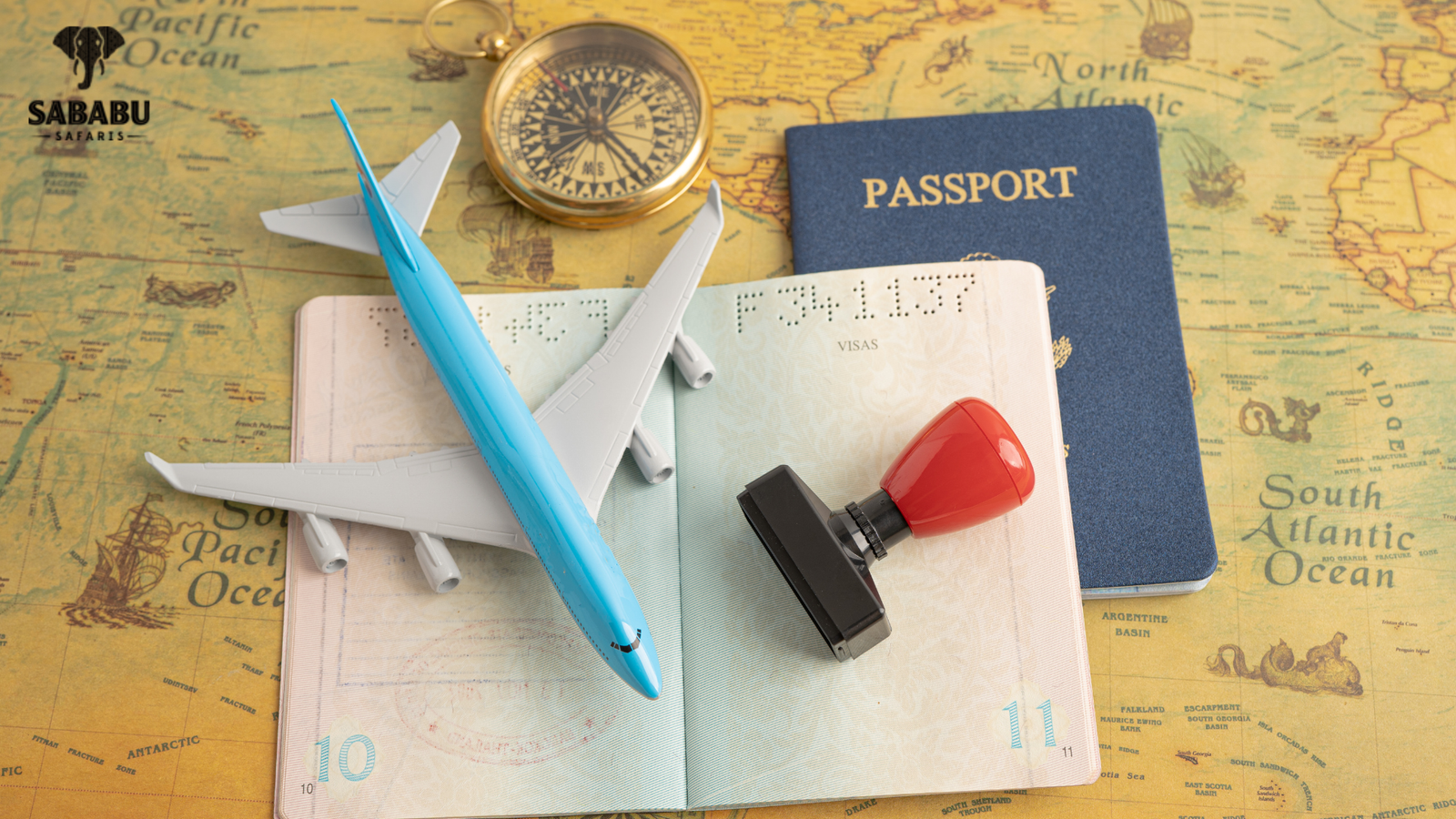 Step-by-Step Guide To Applying For The Tanzania eVisa And Essential Vaccinations