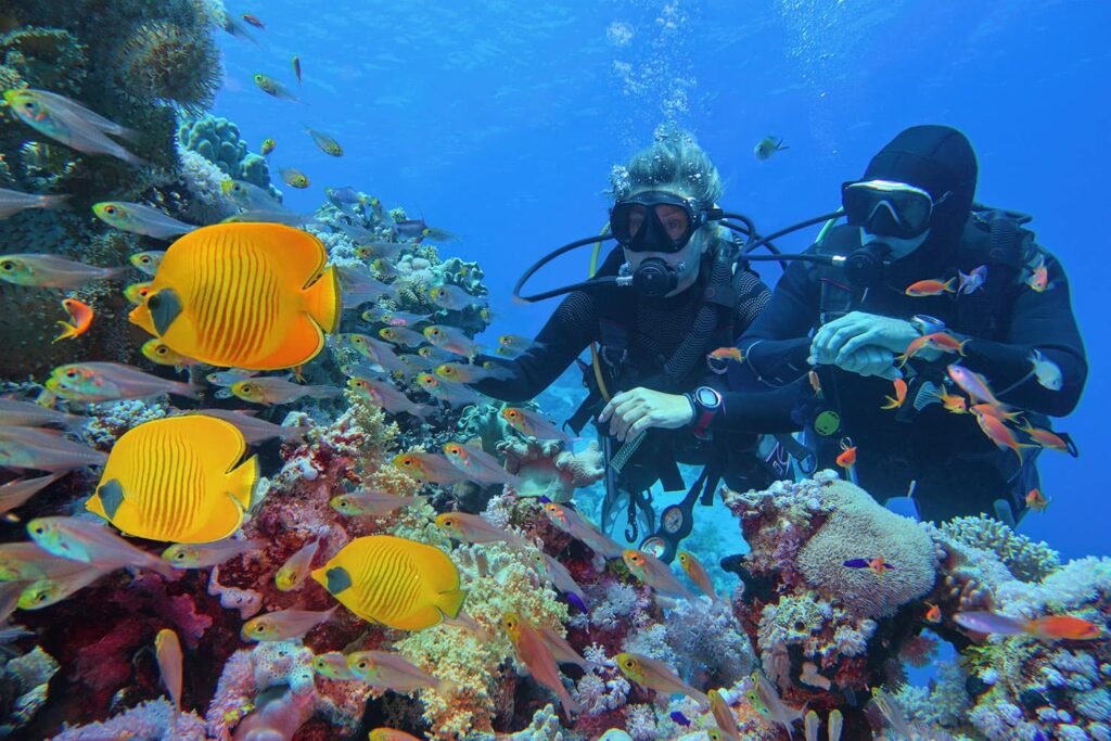 Zanzibar Scuba Dive Experience
