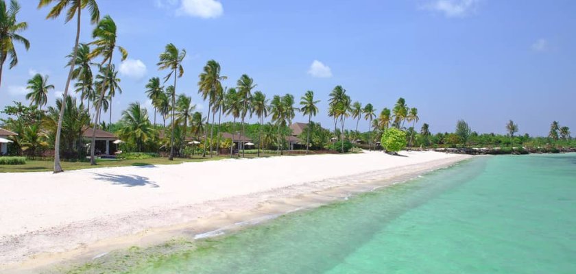 What Is The Cheapest Month To Go Zanzibar?
