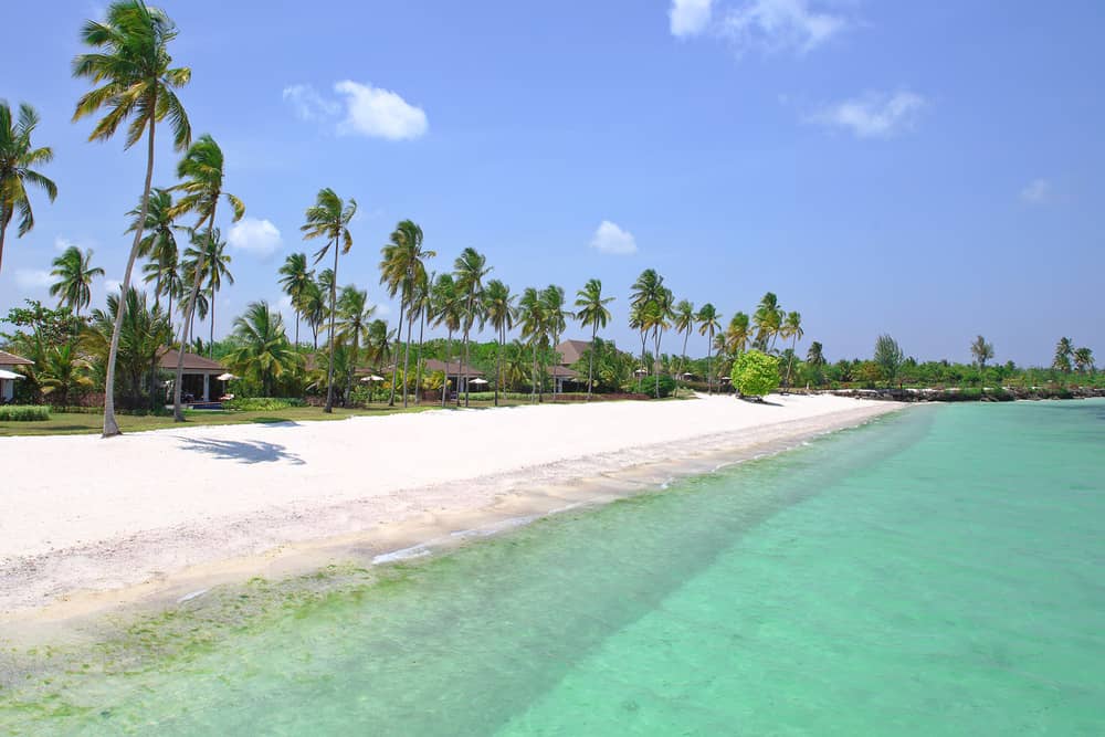 What Is The Cheapest Month To Go Zanzibar?