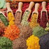DISCOVER NATURE & CULTURE IN ONE UNFORGETTABLE EXPERIENCE